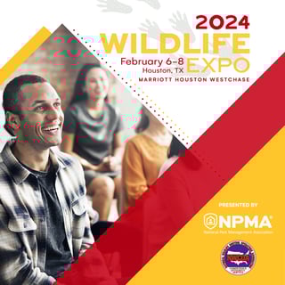 Wildlife 2024 Banner_LinkedIn